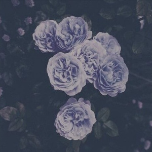 爱日别在线视频
